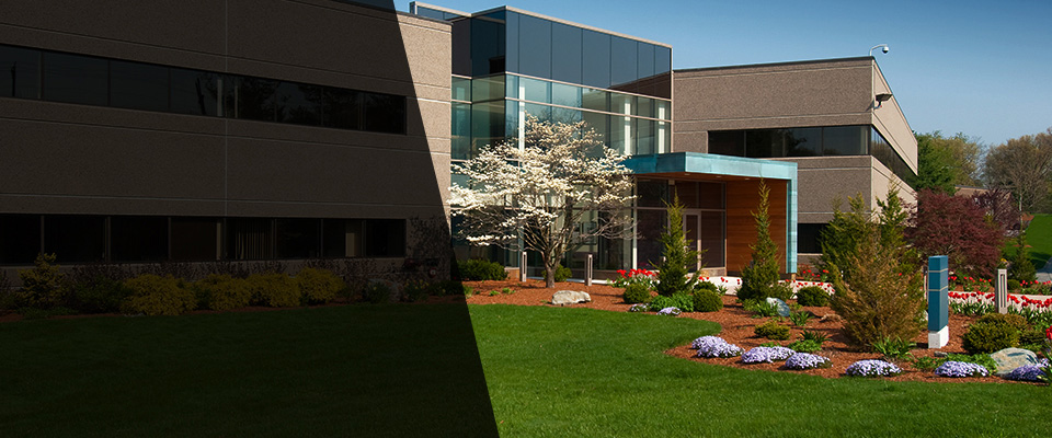 East Amherst Landscapers