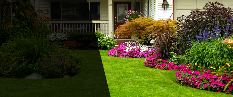 East Amherst Landscapers