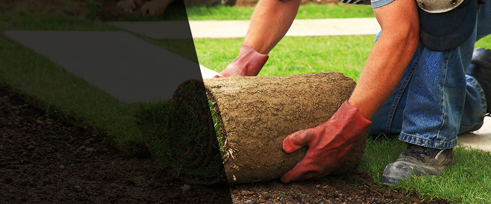 East Amherst Landscapers